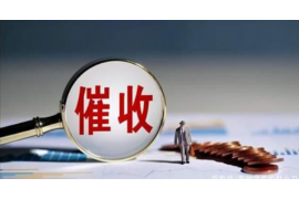 讨债公司断我家电闸：揭秘债务催收的边界与法律